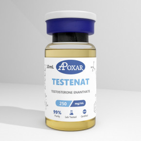 Testosterone Enanthate 250mg/ml - Apoxar